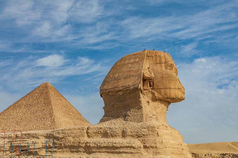 Africa-Egypt-Cairo Giza plateau Great Sphinx of Giza in front of the Great Pyramid of Giza art print by Emily Wilson for $57.95 CAD